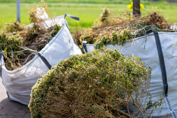 Best Trash Removal Near Me  in Hotchkiss, CO